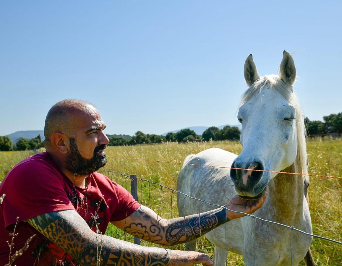 Agriturismo Santa Lucia Tratalias Dış mekan fotoğraf